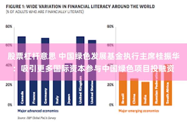 股票杠杆意思 中国绿色发展基金执行主席桂振华：吸引更多国际资本参与中国绿色项目投融资