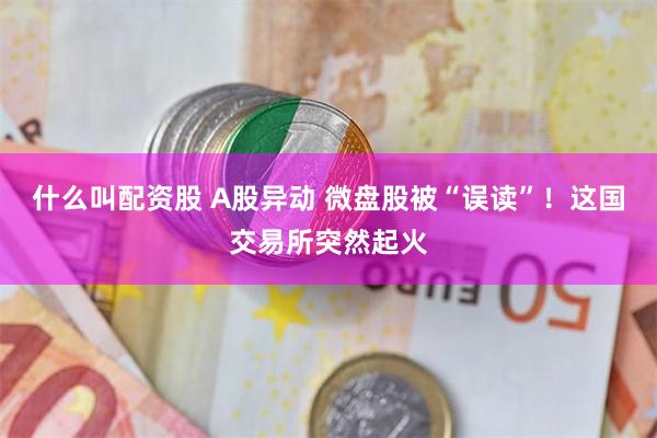 什么叫配资股 A股异动 微盘股被“误读”！这国交易所突然起火