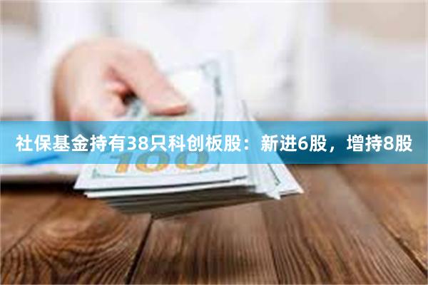社保基金持有38只科创板股：新进6股，增持8股