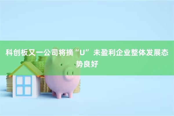 科创板又一公司将摘“U” 未盈利企业整体发展态势良好