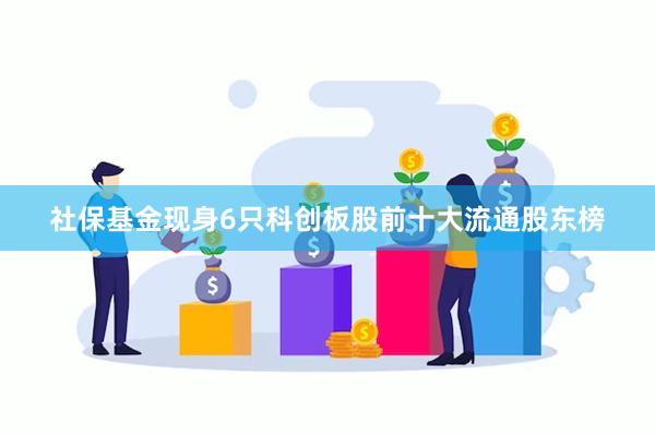 社保基金现身6只科创板股前十大流通股东榜