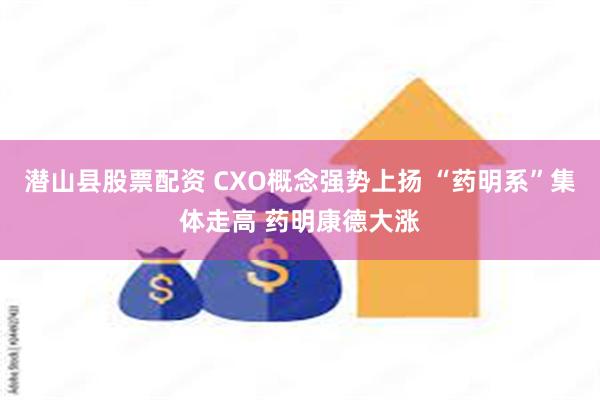 潜山县股票配资 CXO概念强势上扬 “药明系”集体走高 药明康德大涨
