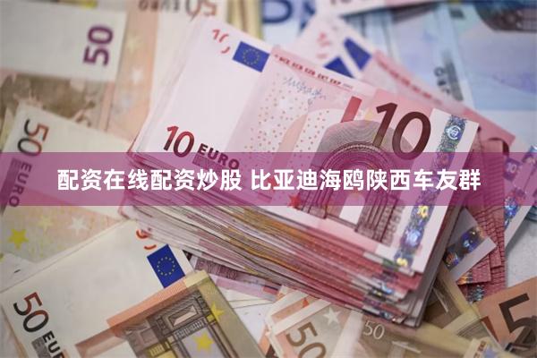 配资在线配资炒股 比亚迪海鸥陕西车友群