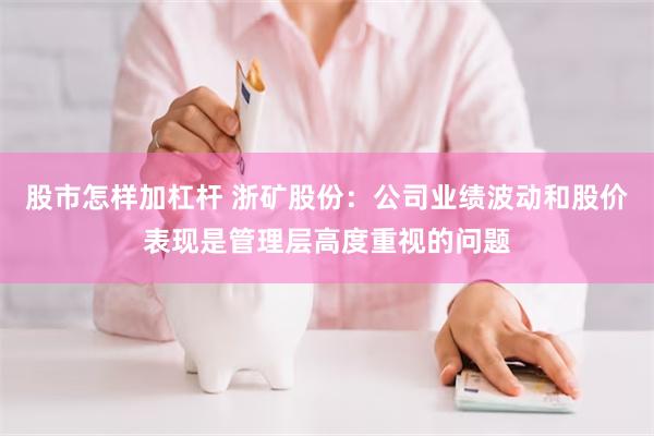 股市怎样加杠杆 浙矿股份：公司业绩波动和股价表现是管理层高度重视的问题