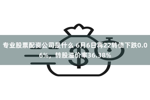 专业股票配资公司是什么 6月6日再22转债下跌0.06%，转股溢价率36.38%