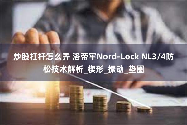 炒股杠杆怎么弄 洛帝牢Nord-Lock NL3/4防松技术解析_楔形_振动_垫圈
