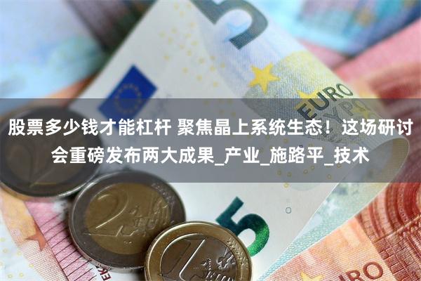 股票多少钱才能杠杆 聚焦晶上系统生态！这场研讨会重磅发布两大成果_产业_施路平_技术